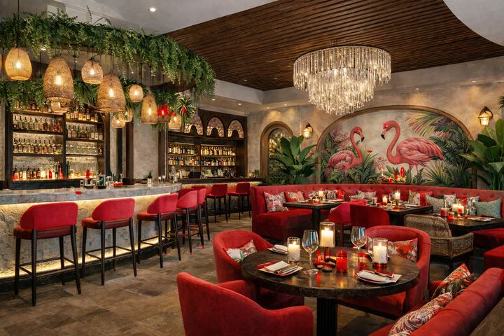 Illustrative concept visual for Café Rojo, Modern Latin Small Plates & Cocktail Bar